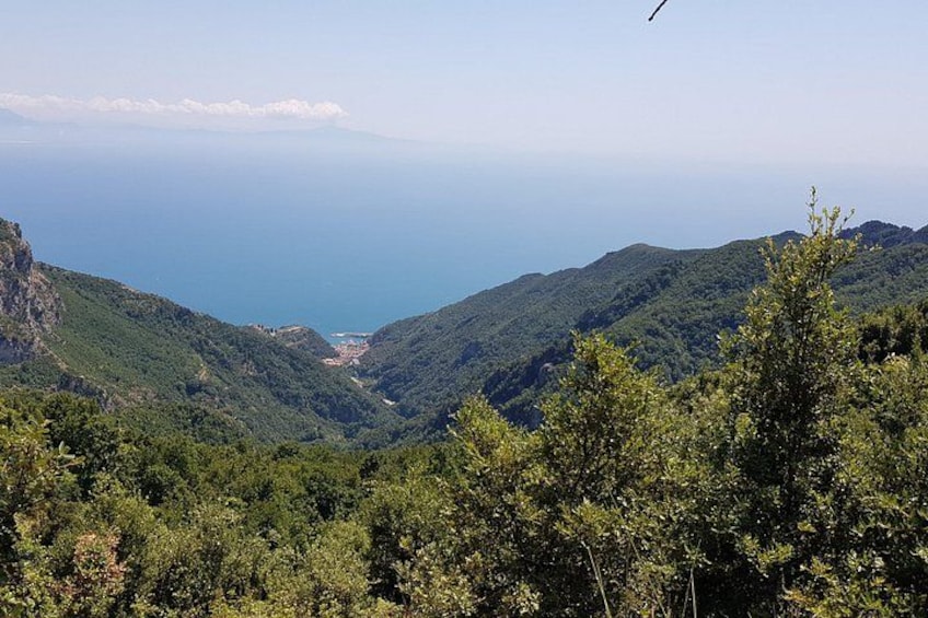 Cetara 1