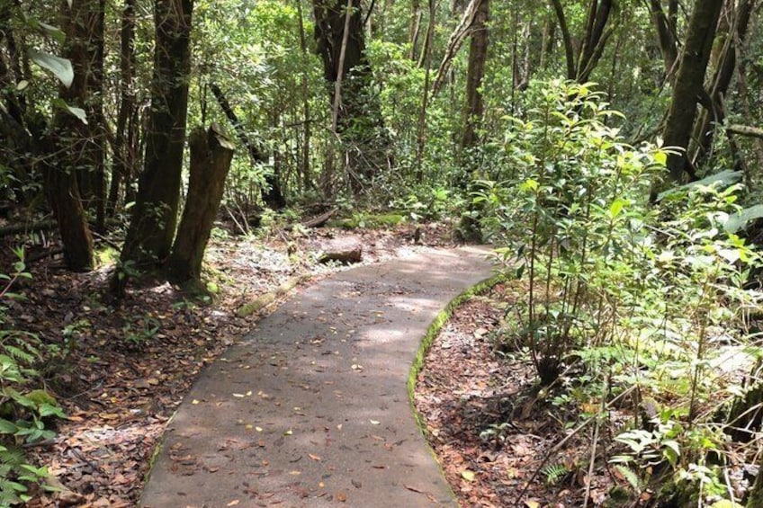 Full Day Poas Volcano, La Paz Waterfall Gardens and Coffee Plantation Experience 5