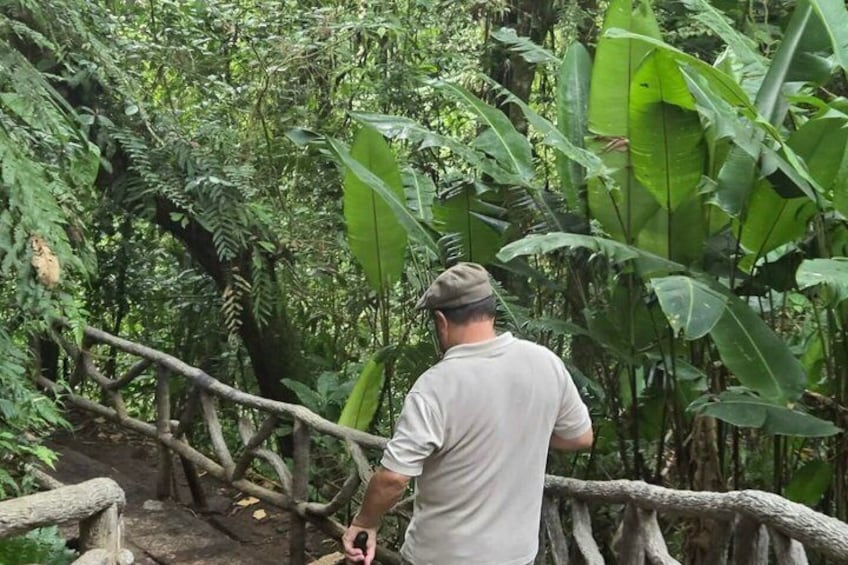 Full Day Poas Volcano, La Paz Waterfall Gardens and Coffee Plantation Experience 3