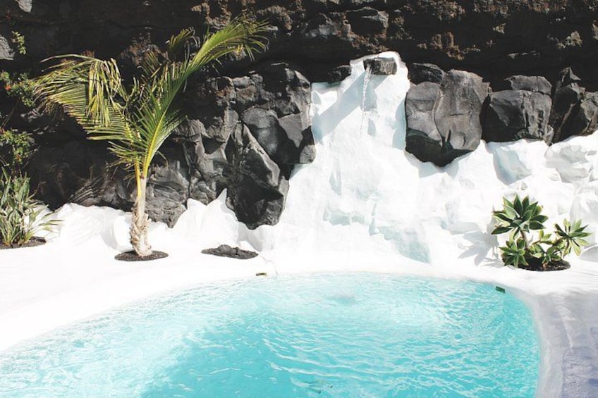 A pool with clear blue water, surrounded by white rocks and a palm tree. 4