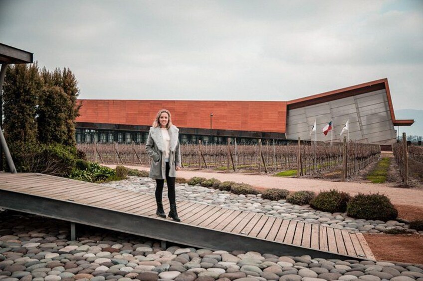 A person standing on a wooden deck with a vineyard in the background. 3