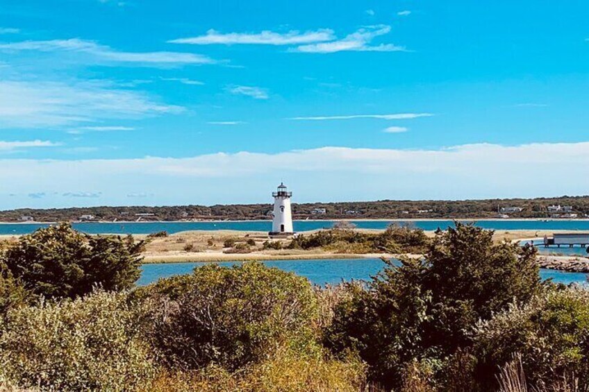 A lighthouse on a rocky outcrop surrounded by water and vegetation. 1