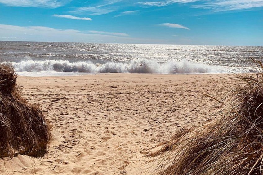Marthas Vineyard Luxury Tour (2hrs) 5