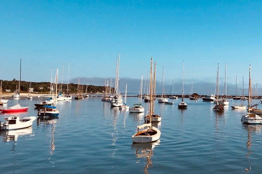 Marthas Vineyard Luxury Tour (2hrs) 4