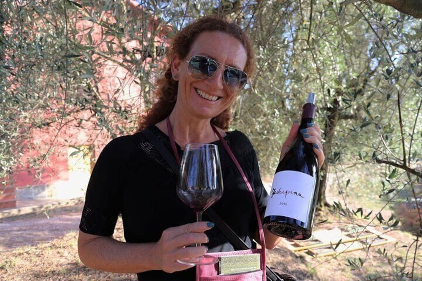 Wine tour and lunch in Lucca area