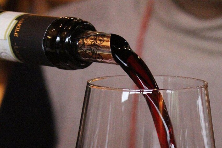 Wine tour and lunch in Lucca area 5