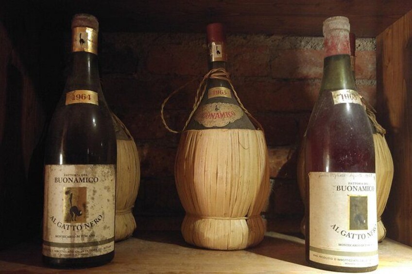Wine tour and lunch in Lucca area 3