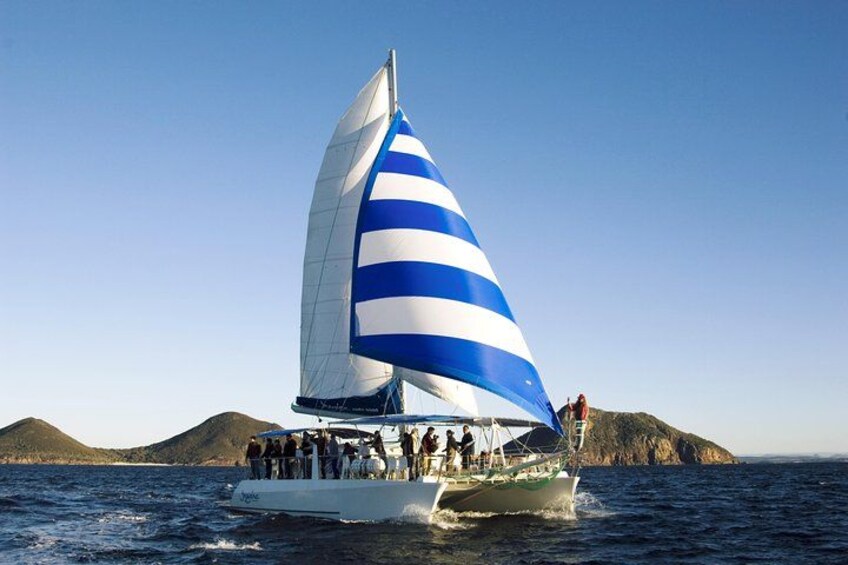 Port Stephens 3 Hour Whale and Dolphin Watch Cruise 4