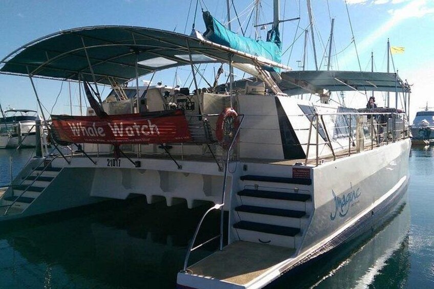 Port Stephens 3 Hour Whale and Dolphin Watch Cruise 4