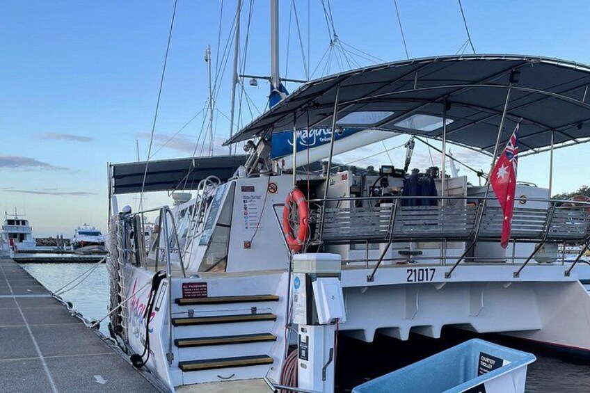 Port Stephens 3 Hour Whale and Dolphin Watch Cruise 5
