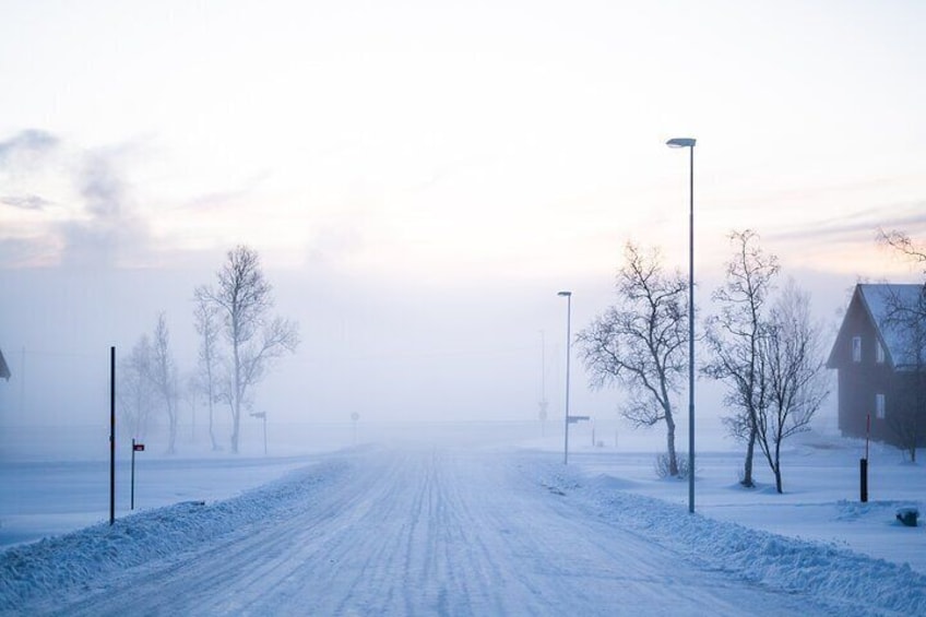 A snow-covered road with street lamps and leafless trees, leading towards a house in the distance. 4