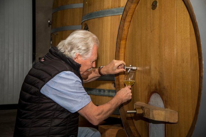Villard Winery with exclusive guide + Premium Transfer 3