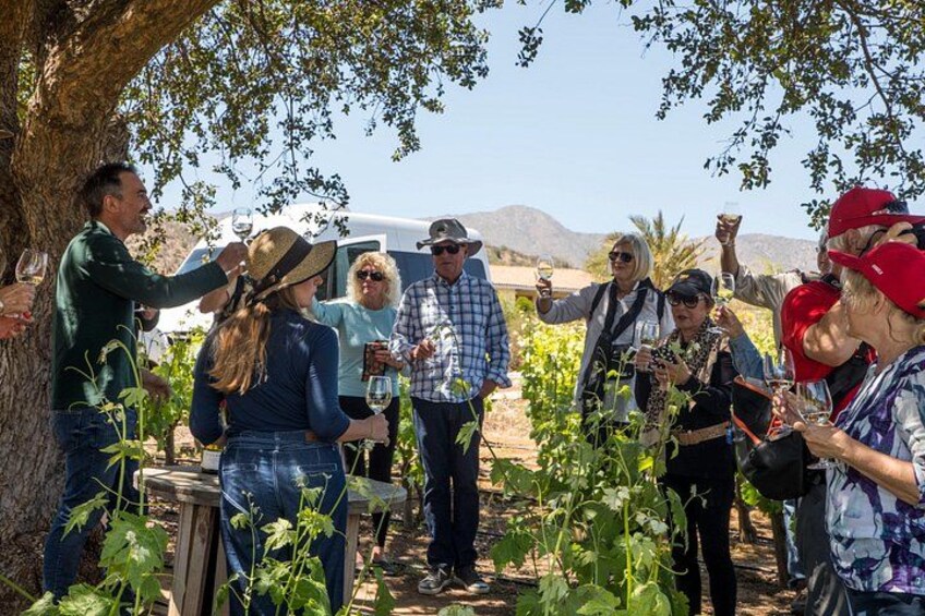 Villard Winery with exclusive guide + Premium Transfer 4