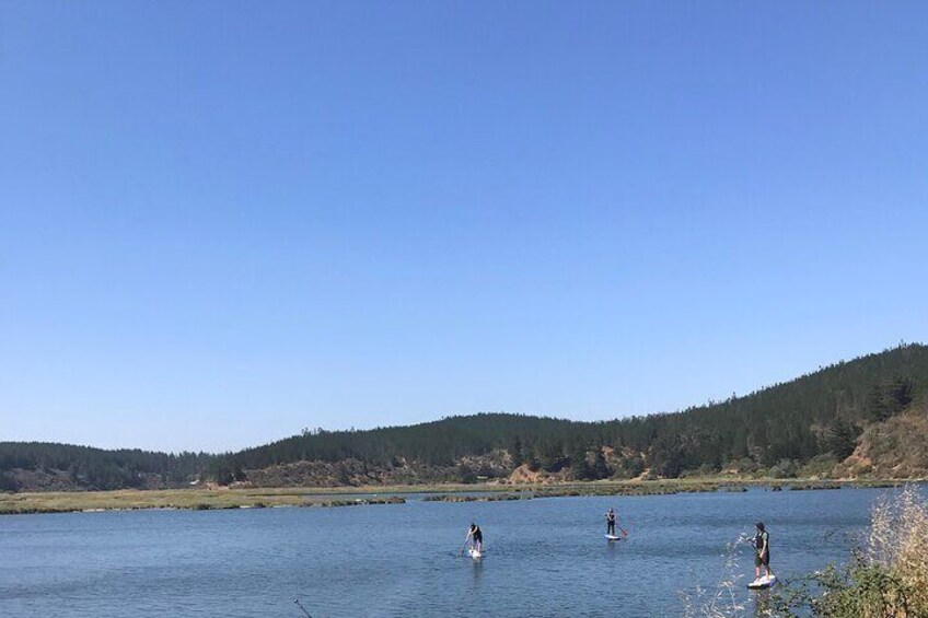 Three people paddleboarding on a calm lake surrounded by hills. 1