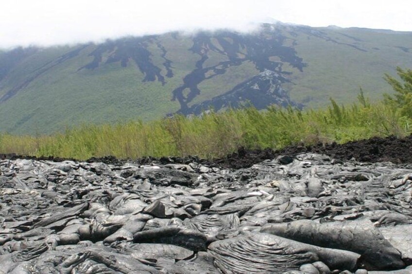 Full Day Tour of Reunion Island with Breakfast 2