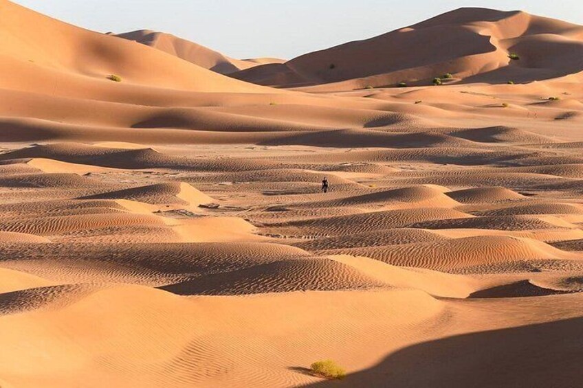 Rub Al Khali Desert Safari: Sunset, Sandboarding & Black Camels 4