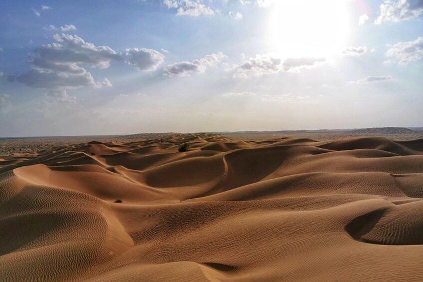 Klart himmel over sandklitter. 5