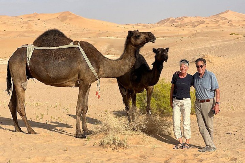 En kamel og en mindre kamel i et ørkenlandskab med sandklitter i baggrunden. 2