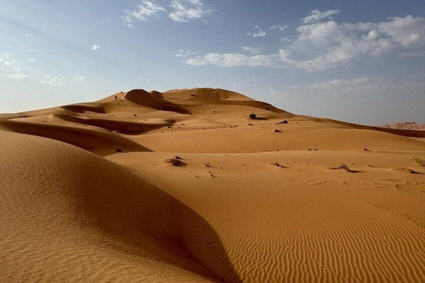 Rub Al Khali Desert Safari: Sunset, Sandboarding & Black Camels 5