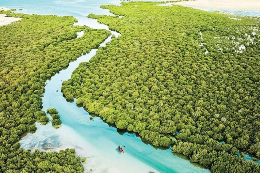 Ein Fluss schlängelt sich durch einen dichten Mangrovenwald, auf dem Wasser treibt ein kleines Boot. 2