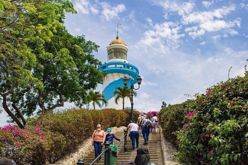 Half Day Walking Tour of Guayaquil Pearl of the Pacific 5