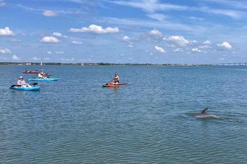 People kayaking on calm water with a bridge in the background. 1