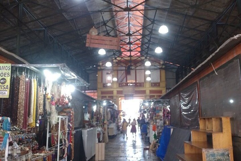 Private City-tour in the Historic Center of Manaus 4