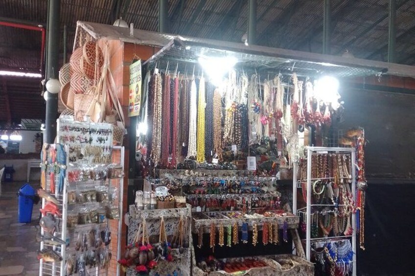 Private City-tour in the Historic Center of Manaus 5