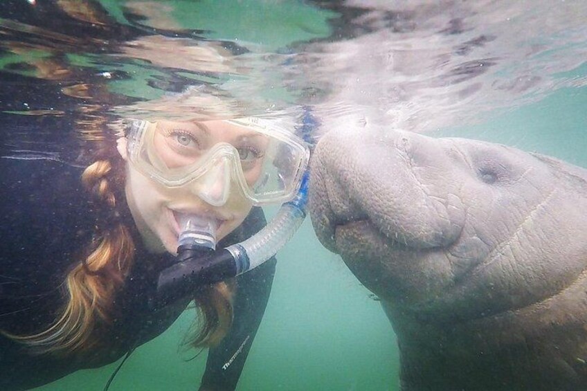 A person snorkeling underwater with a manatee. 2