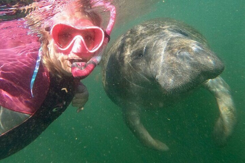 VIP Private Boat Manatee Snorkel Tour with In-Water Guide and Photograper