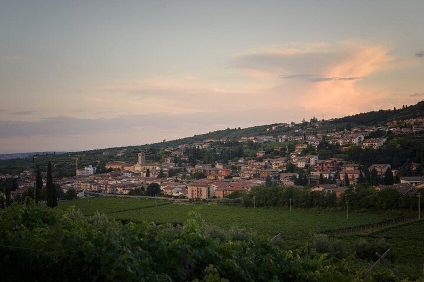Amarone Della Valpolicella Wine Experience - Meet the Vogadori Family 4