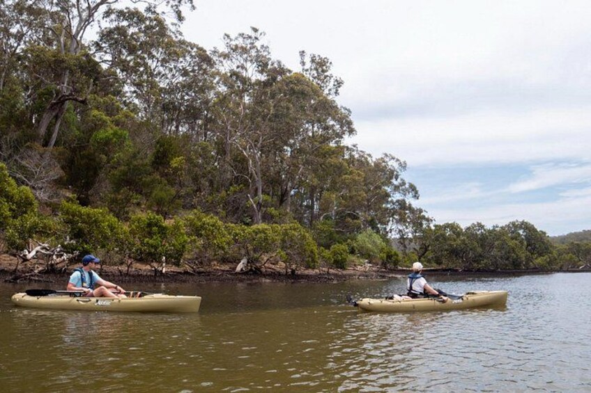 Bermagui River Kayak Tour 5