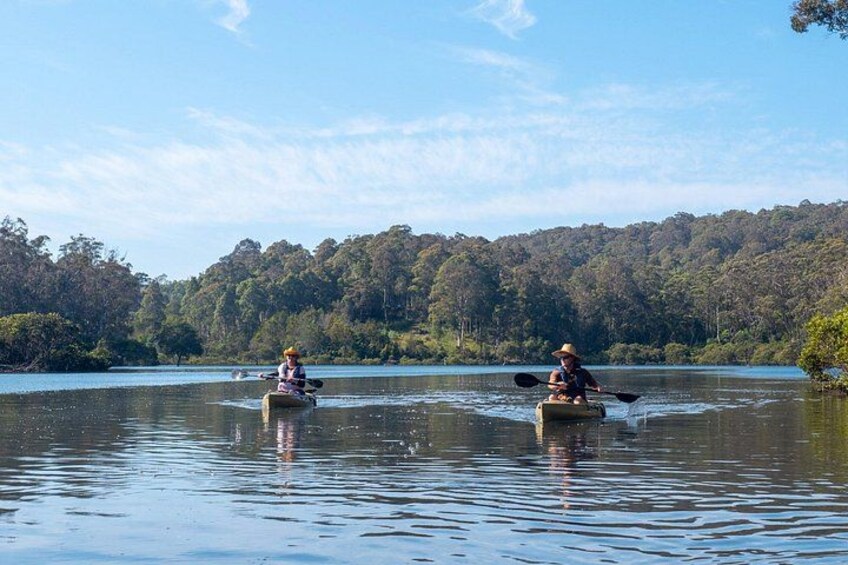 Bermagui River Kayak Tour 2