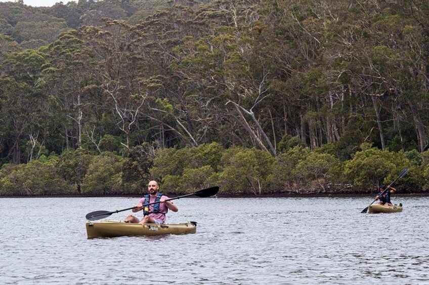 Bermagui River Kayak Tour 4