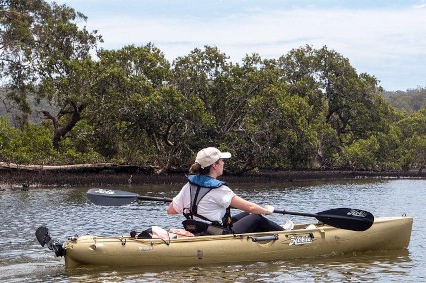 Bermagui River Kayak Tour 3
