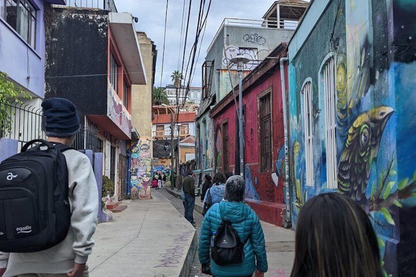 Coastal Gems: Viña del Mar & Valparaíso 2