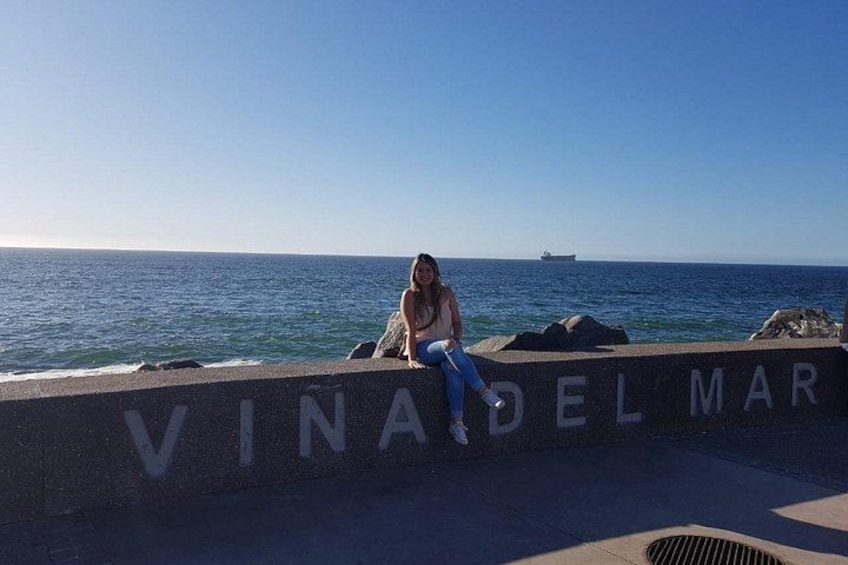 Coastal Gems: Viña del Mar & Valparaíso 3