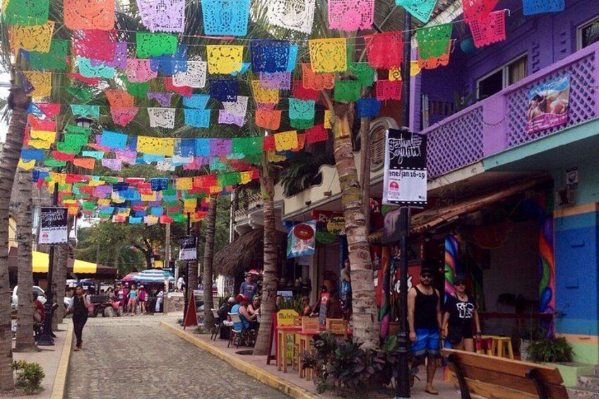 Private Tour, Sayulita & San Pancho 2