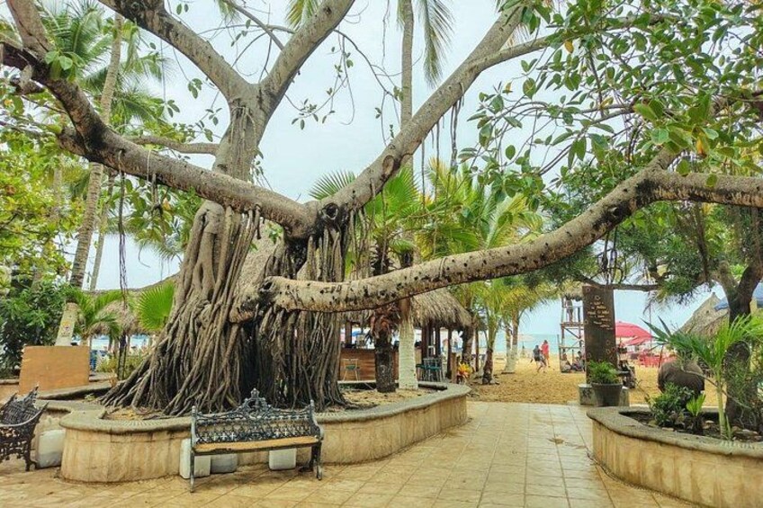 Private Tour, Sayulita & San Pancho 1