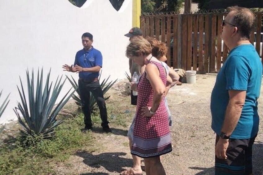 Private Tour, Sayulita & San Pancho 4