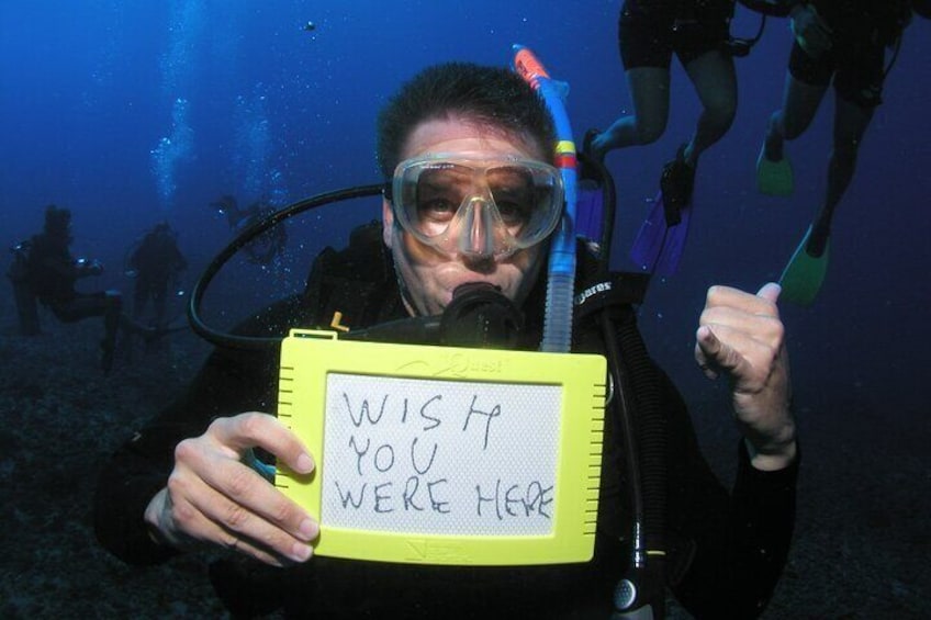 A person underwater holding a sign that says "WISH YOU WERE HERE". 3
