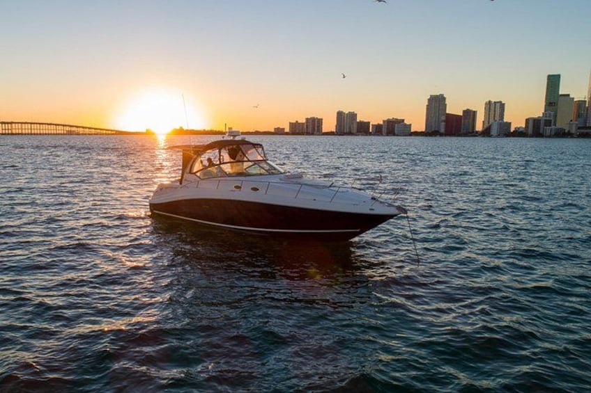 Sundancer 34 4