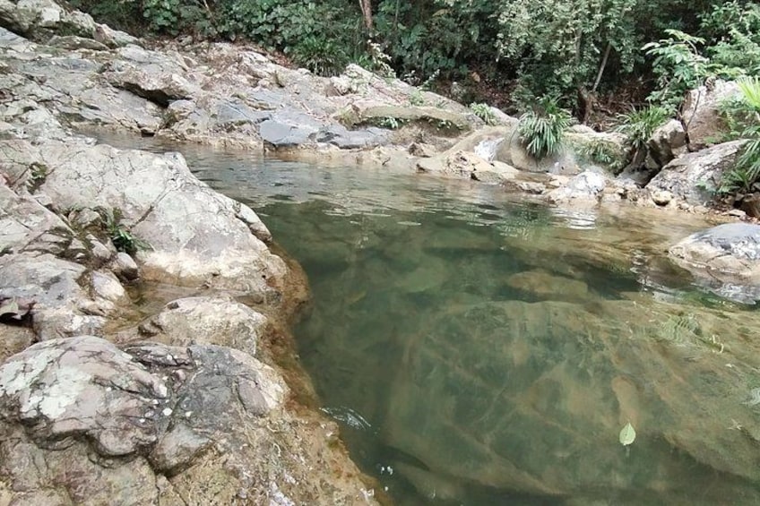 Un ruisseau limpide, bordé de rochers et de verdure. 5