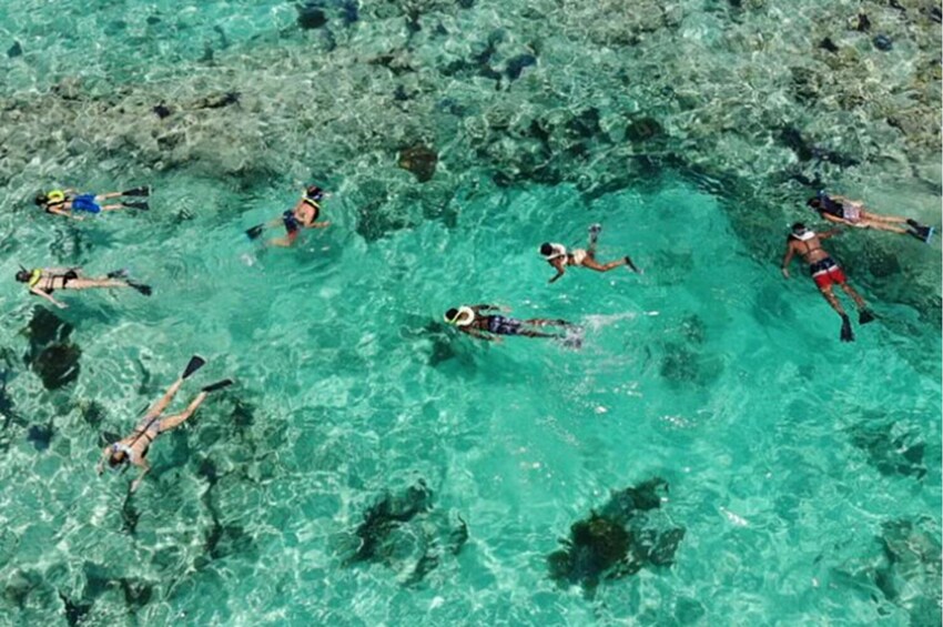 Key West: Dolphin Watching Cruise & Snorkeling with Unlimited Beer & Soda 4