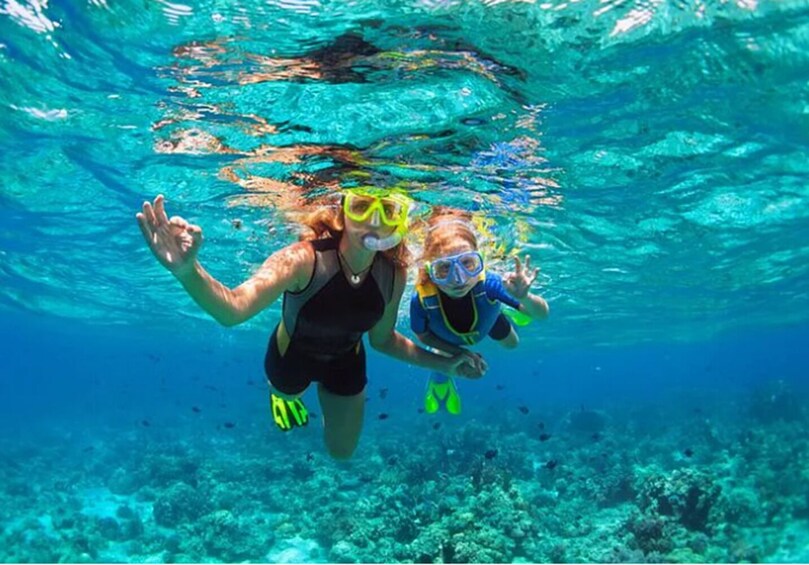 Key West: Dolphin Watching Cruise & Snorkeling with Unlimited Beer & Soda 3