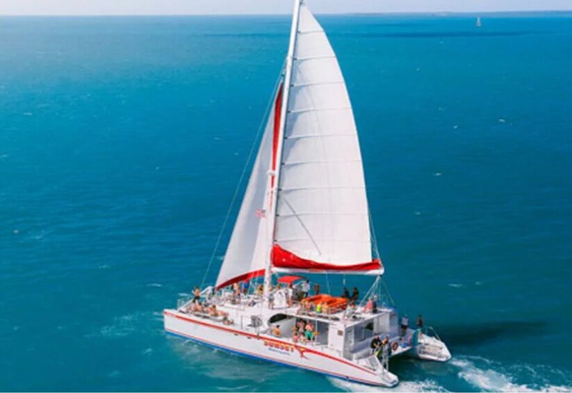 Key West: Dolphin Watching Cruise & Snorkeling with Unlimited Beer & Soda 2