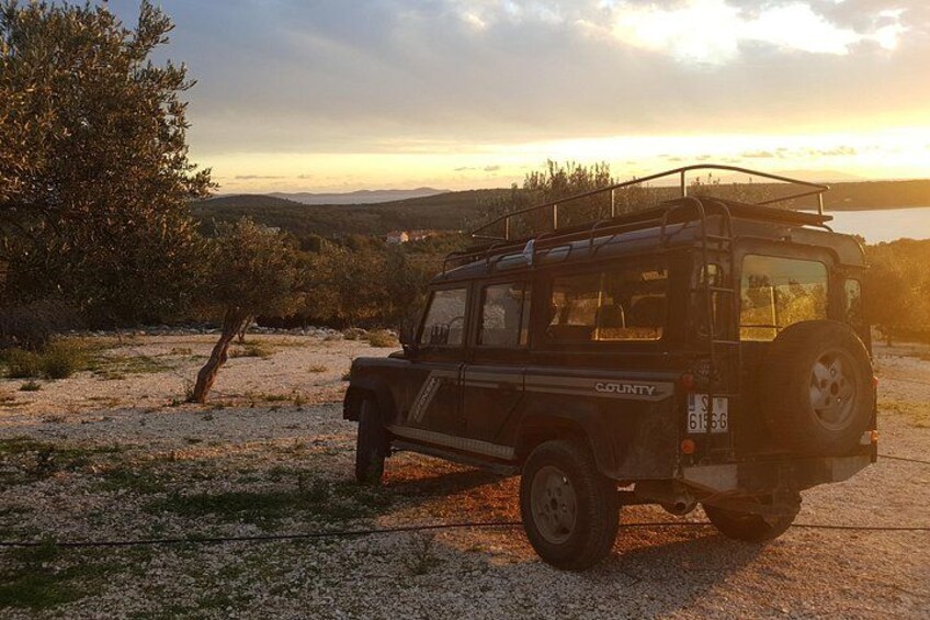 We will guide you into special experience of olive picking with family Tomas 1
