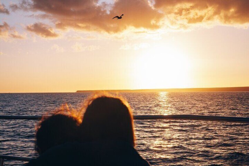 Un coucher de soleil sur l’océan, avec la silhouette d’une personne et d’un oiseau en vol. 3