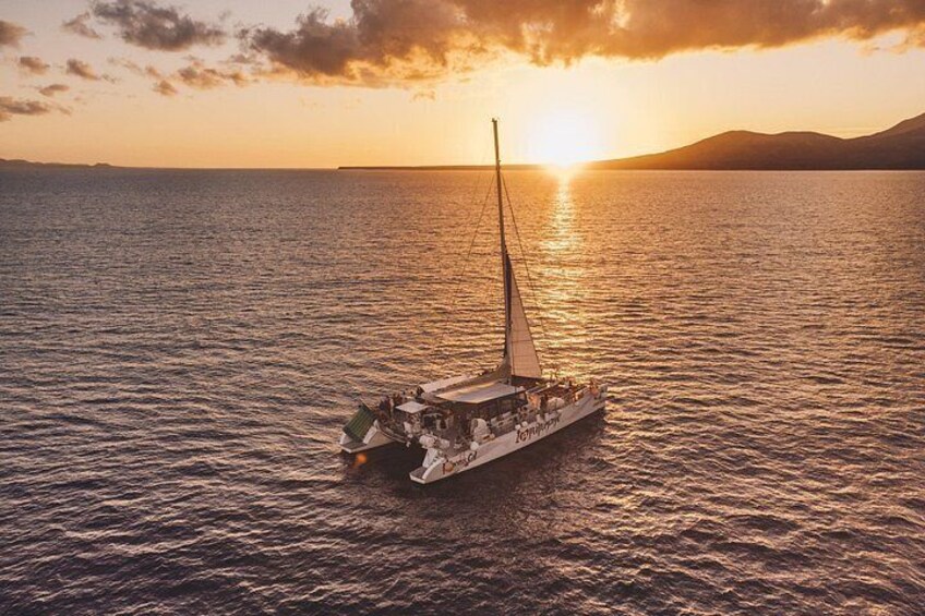 2hrs Dolphins Sunset Sailing Cruise With Drink 4