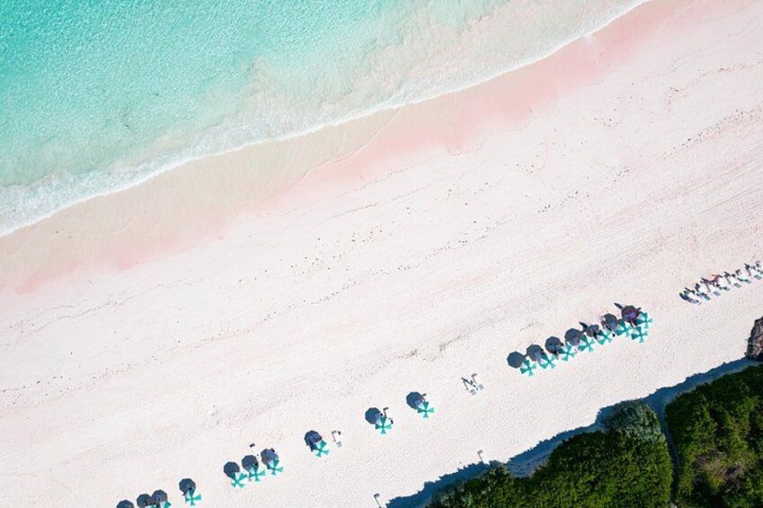 Pink Sands Beach, Harbour Island. 3